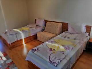 Отель Hotel Touristic Home Kailaka Плевен Двухместный номер с 2 отдельными кроватями-2